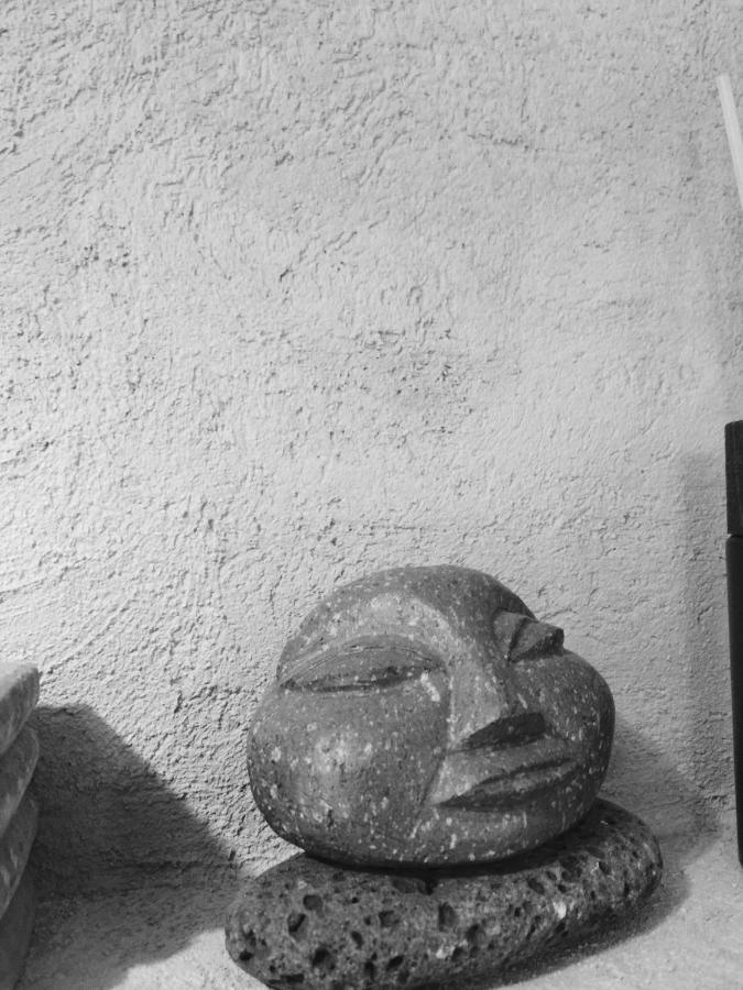 Happy Bentveld Guesthouse Dış mekan fotoğraf